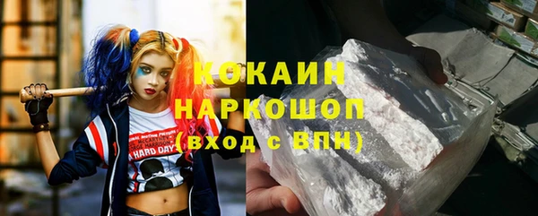 гашик Алзамай