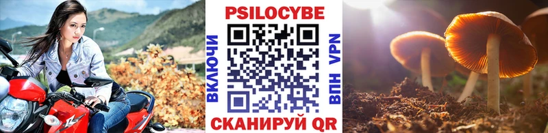 Псилоцибиновые грибы Cubensis  Орёл 